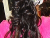 Ciao Bella Hair Studio
